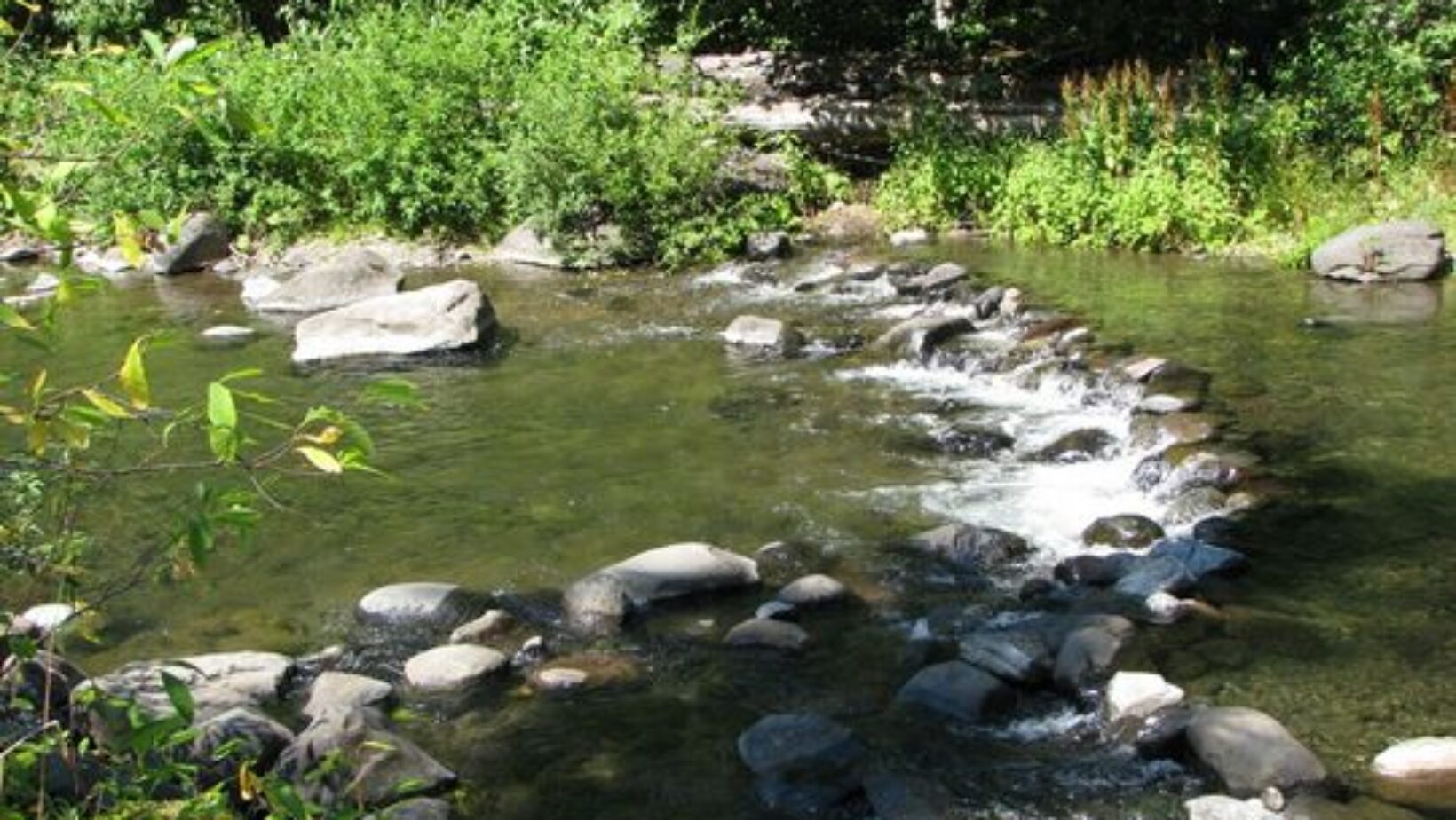 Contract: NRSOPark: 71628